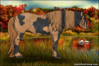 Horse Color:Black  Brindle