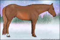 Horse Color:Liver Chestnut 