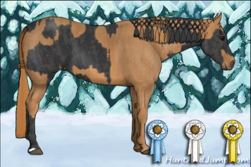 Horse Color: Black  Brindle