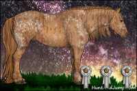 Horse Color:Liver Chestnut Ice  Brindle