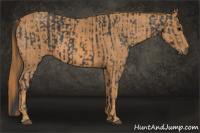 Horse Color:Black  Brindle