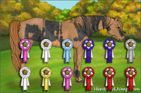 Horse Color:Black  Brindle