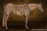 Horse Color:Black  Brindle