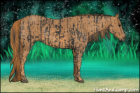 Horse Color:Black  Brindle