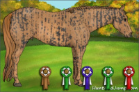 Horse Color:Black  Brindle