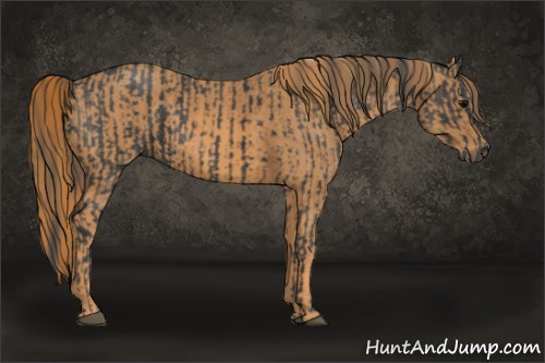 Horse Color: Black  Brindle