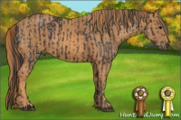 Horse Color:Black  Brindle