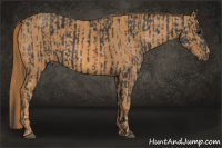 Horse Color:Black  Brindle