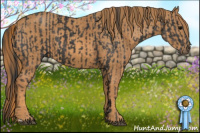 Horse Color:Black  Brindle