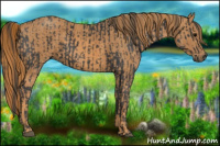 Horse Color:Black  Brindle