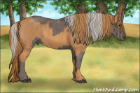 Horse Color:Silver Black  Brindle