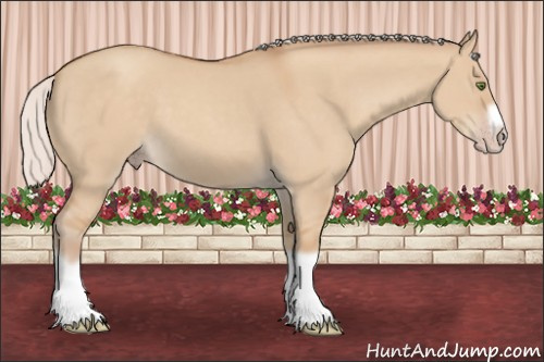 Horse Color: Silver Classic Champagne Dun Splash Frame 