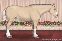 Horse Color:Silver Classic Champagne Dun Splash Frame 