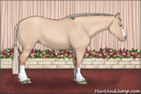 Horse Color:Silver Classic Champagne Dun Splash Frame