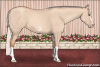 Horse Color:Silver Classic Champagne Dun Splash Frame