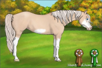 Horse Color:Silver Classic Champagne Dun Splash Frame 