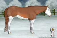 Horse Color:Chestnut Splash 