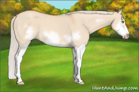 Horse Color:Silver Classic Champagne Dun Splash Frame