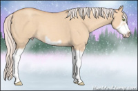 Horse Color:Silver Classic Champagne Roan Dun Splash Frame 