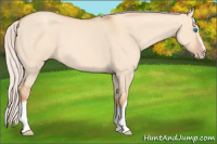Horse Color:Silver Classic Champagne Dun Splash Frame 