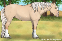 Horse Color:Silver Classic Champagne Dun Splash Frame 
