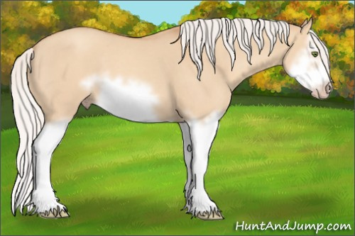 Horse Color: Silver Classic Champagne Dun Splash Frame 