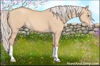 Horse Color:Silver Classic Champagne Dun Splash Frame 