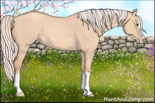 Horse Color: Silver Classic Champagne Roan Dun Splash Frame 