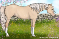 Horse Color:Silver Classic Champagne Roan Dun Splash Frame 