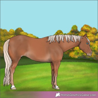 Horse Color:Cremello 