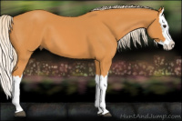 Horse Color:Chocolate Palomino Splash