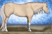 Horse Color:Silver Classic Champagne Dun Splash Frame 