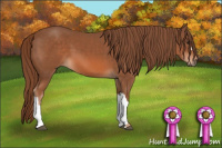 Horse Color:Liver Chestnut