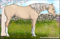 Horse Color:Silver Classic Champagne Dun Splash Frame 