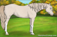 Horse Color:Smoky Creme Roan 