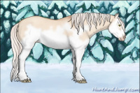 Horse Color:Silver Classic Champagne Dun Splash Frame