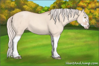 Horse Color:Silver Classic Champagne Roan Dun Splash Frame 