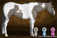 Horse Color:Grullo Tobiano