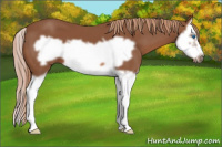Horse Color:Chestnut Splash Frame 