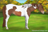 Horse Color:Chestnut Tobiano