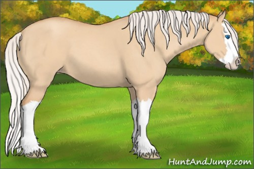 Horse Color: Silver Classic Champagne Dun Splash 