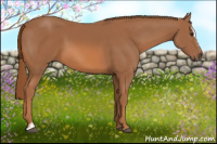 Horse Color:Chestnut Sabino