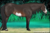 Horse Color:Brown Sabino Frame