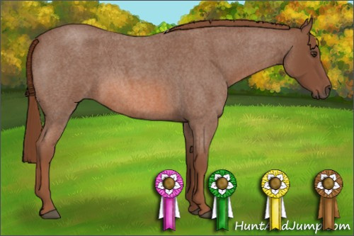 Horse Color: Liver Red Roan Sabino 