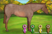 Horse Color:Liver Red Roan Sabino 
