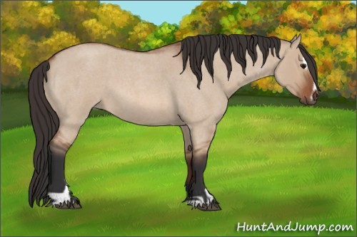 Horse Color: Bay Roan Dun Sabino 