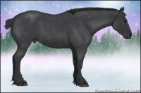 Horse Color:Blue Roan Sabino