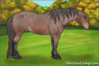 Horse Color:Bay Sabino Blanket 