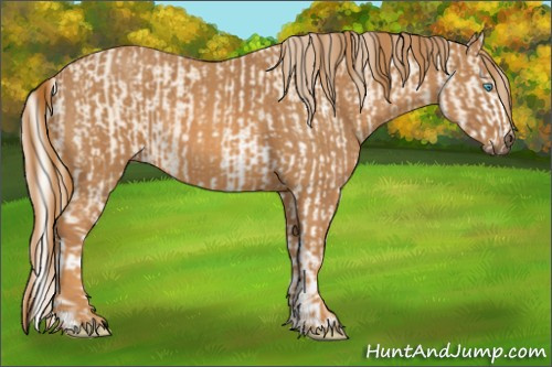 Horse Color: Cremello Sabino  Brindle