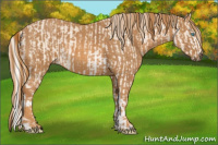 Horse Color:Cremello Sabino Brindle